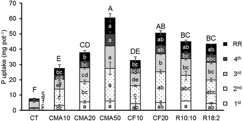 Figure 2. Phosphorus uptake of Guinea grass cultivated in pots with soil fertilized with cattle manure ash or chemical fertilizer. Lower case is used for each harvest and root weights; capital letters indicate the total biomass. Data are displayed from four harvests and root residue (RR). All plants in CF50 died. Different letters represent significant differences (p < 0.05).