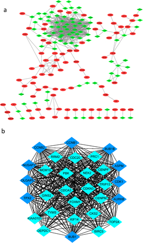 Figure 3. The PPI network of DGEs and the most significant modules of DEGs. (a) The PPI network was analysed by String software. There were 325 nodes and 655 edged in the PPI network. Red represents upregulated genes; green represents downregulated genes. (b) The most significant module identified by MCODE (score = 27.863) Dark blue represents the top 10 genes with the most neighbours and expanded nodes. DEG: differentially expressed gene; PPI: protein–protein interaction.
