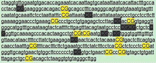 Figure 1. Id2 gene sequence analysis indicating CpG islands.