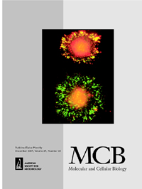 Cover image for Molecular and Cellular Biology, Volume 27, Issue 23, 2007