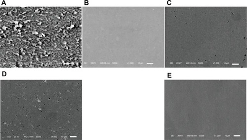 Figure 1 SEM micrographs.Notes: The images show Oxinium (A), Co-Cr-Mo (B), Ti-6Al-4V (C), CP-Ti (D), and stainless steel (E). although a few polishing microtraces and marks were observed, all specimens had a generally featureless and smooth surface. Original magnification × 1000 (scale bar = 10 μ m).Abbreviations: Co-Cr-Mo, cobalt-chromium-molybdenum alloy; CP-Ti, commercially pure titanium; SEM, scanning electron microscope; Ti-6Al-4V, titanium alloy.