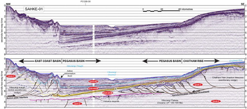 Figure 7 Northwest–southeast seismic cross-section of Pegasus Basin from the Cook Strait area to the crest of the Chatham Rise (line SAHKE-01), illustrating the major tectonostratigraphic elements. This profile images two ‘opposing’ subduction systems: the modern Hikurangi margin (left) and the ancient Gondwana margin (right), with the latter ‘frozen’ in the process of subduction accretion. The modern subduction interface is clearly visible; the most-seaward fold of the East Coast Basin is taken to represent the subduction interface and the boundary with the adjacent Pegasus Basin. Also evident is the little-deformed character of Pegasus Basin, compared with the more deformed East Coast Basin. The asymmetrical Neogene succession in Pegasus Basin is prominent in this cross-section. Abbreviations as for Fig. 4.