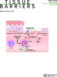 Cover image for Tissue Barriers, Volume 5, Issue 3, 2017