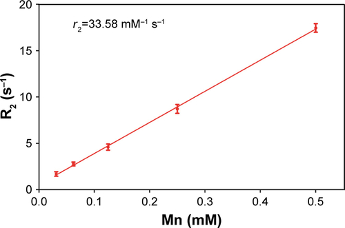 Figure S2 The r2 relaxivity of MnO-PEG-Cy5.5 nanoparticles. Note: Data are expressed as mean ± SD.