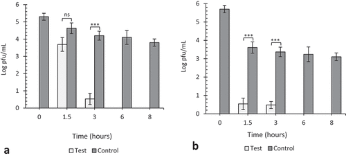 Figure 4. The effect of 20 ppm gaseous ozone on HSV-1 viability. Twenty microliters of virus was coated in wells of TC plates (a) or surfaces of steel plates (b) and exposed to gaseous ozone at 20 ppm for 1.5, 3, 6 and 8 h. Untreated viruses at T = 0, 1.5, 3, 6 and 8 hrs were included as negative controls to each experiment. Data represents the mean of triplicate experiments ± SD. (ns) represent no significant difference between groups, (***) represents statistical significance less than 0.00001.