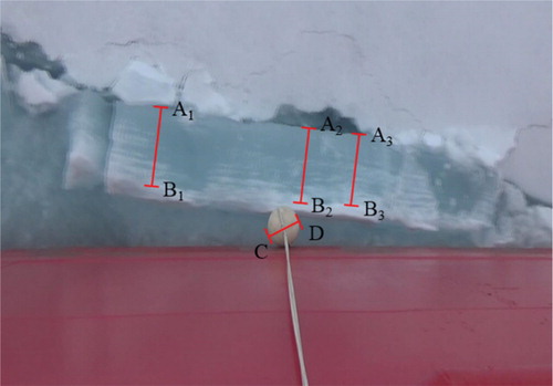 Figure 3. One frame containing a whole overturned level ice cross section captured from shipborne video. In this image, A1B1, A2B2, and A3B3 are ice thicknesses in cross section and CD is the diameter of referenced sphere within the frame.