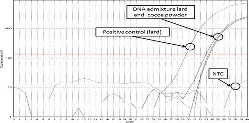 FIGURE 3 Amplification plot of binary DNA admixture containing mixture of DNA from pure lard and DNA from cocoa powder. Positive amplification being obtained proves that the extracted DNA is applicable for PCR (free or insignificant amount of PCR inhibitor).