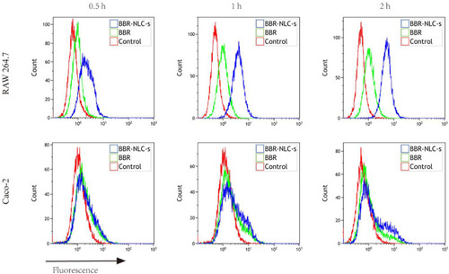 Figure 1 Uptake of BBR and BBR-NLCs into RAW264.7 and Caco-2 cells was evaluated for 0.5, 1, and 2 h.Notes: Flow cytometry was used to quantify the fluorescence intensity. For all experiments, n = 3.