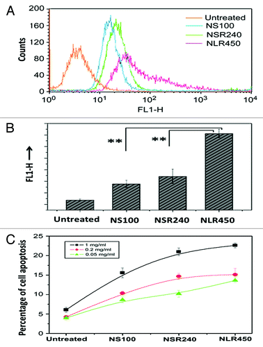 Figure 4. (A) Quantification of cellular uptake and apoptosis of different shaped PSiO2 by flow cytometry analysis of different prepared PSiO2 nanoparticles: sphere-shaped, NS (100 nm), short rod-shaped, NSR (240 nm) and long rod-shaped, NLR (450 nm). (B) Quantitative measurement (fluorescence) of particle numbers in cells (data are presented as mean ± s.d; statistical significance for the comparison of the number of internalized particles between different shaped particles, **p < 0.1). (C) Influence of different concentrations of shaped nanoparticles on early apoptosis of A375 cells. Reprinted with permission from reference Citation77.