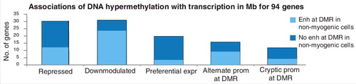 Figure 3. Summary of the associations with transcription for the 94 Mb-hypermethylated genes. Number of genes found to correspond to each of the given categories of hypermethylation-transcription correlations as described in the text and in Supplementary Tables S1–S4. Light blue, the gene was associated with a Mb-hypermethylated DMR that displayed enhancer chromatin and a lack of DNA methylation in at least one non-myogenic cell type or tissue. Note that genes with alternate or cryptic promoters sometimes also fell into one of the first three categories.