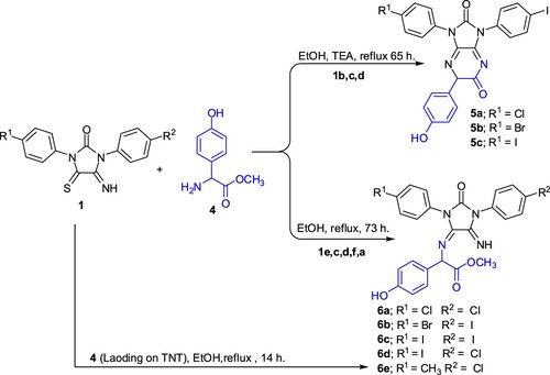 Scheme 3. Reaction of imidazolidineiminothiones 1 with 4-hydroxy-R-phenylglycine methyl Ester 4