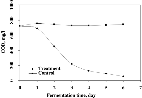 Figure 8. The removal of COD by microbial mixed culture of P. corylophilum and A. niger after treatment.