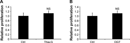 Figure 2 Up-regulation of O-GlcNAcylation does not affect proliferation of thyroid anaplastic cancer cells.