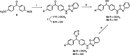 Scheme 2.  Reagents and Conditions (i) (a) 2-aminophenol, EtOH, o/n, rt, then (b) HgO, S, reflux, 2 h, 46% (ii) HBr, AcOH, reflux 6 h then o/n rt, 77% (iii) NaBH4, MeOH, 1–12 h, rt, 42–91% (iv) 1,1′-carbonyldiimidazole, imidazole, CH3CN, reflux 2–12 h, 38–74%.