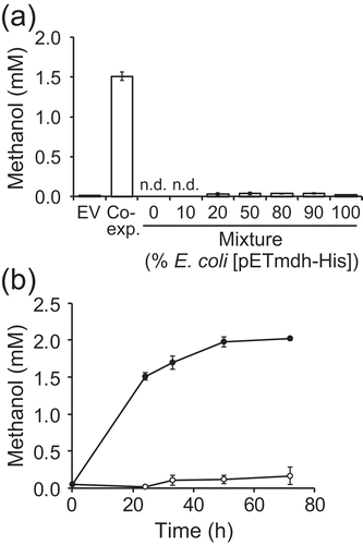 Figure 3. Production of methanol from F6P in whole-cell reactions of E. coli expressing mdh-His6 and hps-phi.