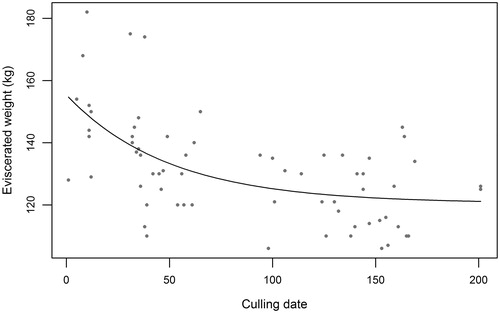 Figure 1. Negative exponential equation (2) fitted to the eviscerated weights of adult stags collected during the hunting seasons.