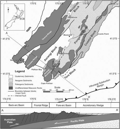 Figure 1. Location of the current study in the southern East Coast Basin, showing simplified geology and structural setting. Modified from Hines et al. (Citation2013).