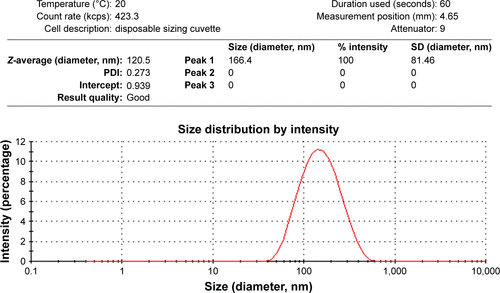 Figure S2 Size-distribution analysis by dynamic light scattering for RBRBR-CS-NPs.