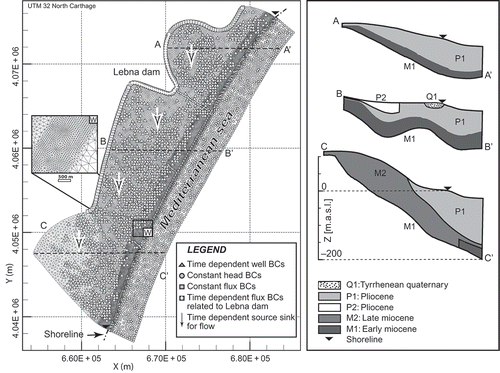 Fig. 3 The Korba aquifer 3-D numerical model, modified after Kerrou et al. (Citation2010). Note that wells were attributed at around 10 m from model surface and the lateral fluxes were integrated over the Pliocene formation thickness. Element sizes range from 150 to 200 m in the main aquifer and between 50 and 100 m near the shoreline. Vertically, the mesh is divided into 19 layers with 5 m thickness on average.