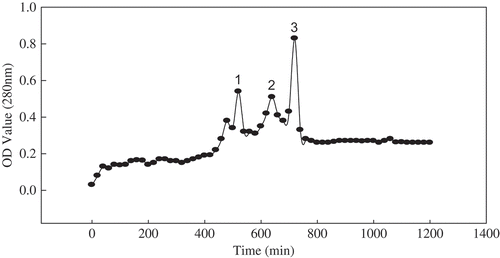 FIGURE 1 Gel chromatography of the purification of rapeseed protein hydrolysates by the Sephacryl S-100HR column.