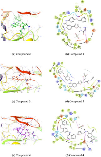 Figure 1. Predicted binding of lapatinib analogues to the EGFR receptor site (docked to PDB: 1xkk) (1a, 1c, 1e) and corresponding schematic diagrams (1b, 1d, 1f).