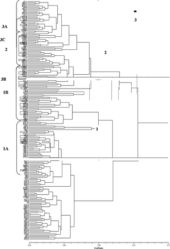 Fig. 2  Dendrogram based on the unweighted pair group arithmetic mean average (UPGMA) showing six clusters of on-farm accessions and field genebank accessions (in boxes) of cacao in Nigeria.