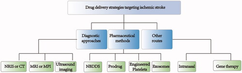 Figure 5. Overview of different strategies for drug delivery targeting ischemic stroke.