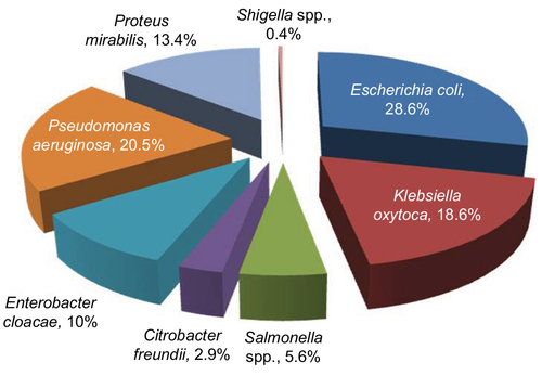 Figure 1 Distribution of the enteric isolates obtained from the community people (n=479).