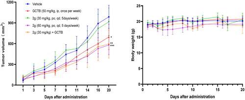 Figure 5. In vivo efficacy evaluation in AsPC-1 cell-derived xenograft mice model (n = 6).
