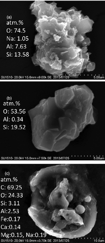 Figure 6. SEM images of the collected particles by 3 kDa filter from Fukushima seawater.