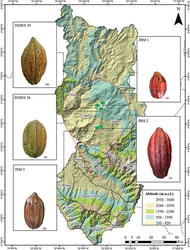Figure 1. Distribution map of the five fine-aroma cocoa genotypes collected for the Cd sensitivity test.