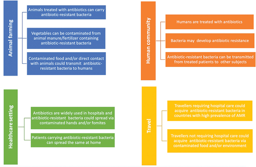 Figure 1. Causes and routes of transmission of antibiotic resistant bacteria (modified fromCitation8).