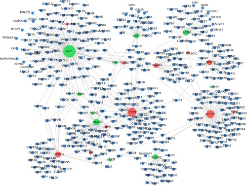 Figure 1 PPI network of DEGs.