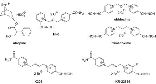 Figure 1.  The structures of the drugs used in the experiments.