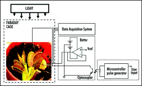 Figure 1 Experimental setup.