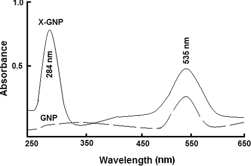 Figure 1. Spectroscopic studies: Ultraviolet-visible spectroscopic analysis of biologically synthesised gold nanoparticles (X-GNP) and chemically prepared gold nanoparticles (GNP).