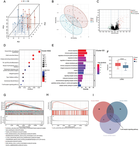 Figure 9 Cluster analysis results of AS patients: (A and B) Cluster analysis divided AS patients into Cluster1 (C1) and Cluster2 (C2). (C) Volcano plot of differential gene expression analysis between C1 and C2. (D) KEGG analysis of DEGs between C1 and C2 (Cluster-DEGs). (E) GO analysis of Cluster-DEGs. (F) Expression levels of ADRB2 in C1 and C2. (G) GSEA analysis of the Cluster. (H) GSEA analysis of ADRB2 in the Cluster (Cluster-ADRB2-GSEA). (I) Intersection of Cluster-KEGG, Cluster-GSEA, and Cluster-ADRB2-GSEA.