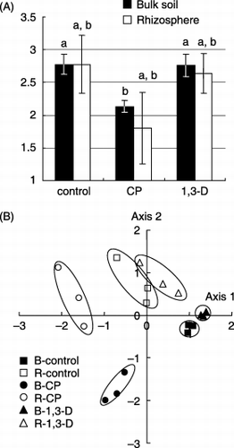 Figure 3  Quantitative analysis of the 18S rDNA denaturing gradient gel electrophoresis profiles shown in Fig. 2. (A) Shannon's diversity index and (B) multi-dimensional scaling (MDS) map based on the squared distance of similarity. Each treatment consisted of three plot replicates. B, bulk soil; R, rhizosphere soil; CP, chloropicrin; 1,3-D, 1,3-dichloropropene.