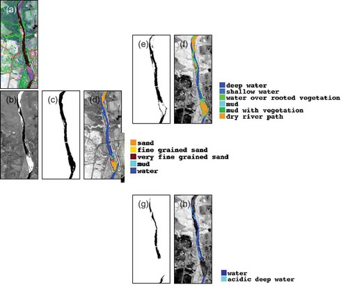 Fig. 3 Sequential subscenes produced by image processing (from left to right): (a) false colour composite with HyMap channels 7 (0.5602 µm), 34 (0.9414 µm) and 110 (2.2450 µm); (b) minimum noise fraction transform showing the flow path and water; (c) mask for the flow path; (d) map of sediments (in Riaza et al. Citation2012a); (e) mask for mud and water; (f) map of water and mud (in Riaza et al. Citation2012b); (g) mask for deep water; and (h) map of acidic water.