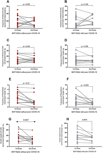Figure 5 Variation in B-cell subpopulations after the first and second doses of BNT162b2 in the groups with and without prior COVID-19. (A) Percentages of mature B cells in individuals without prior COVID-19 and (B) with prior COVID-19. (C) Percentages of memory B cells in individuals without prior COVID-19 and (D) with prior COVID-19. (E) Percentages of plasmablasts in individuals without prior COVID-19 and (F) with prior COVID-19. (G) Percentages of double-negative B cells in individuals without prior COVID-19 and (H) with prior COVID-19.