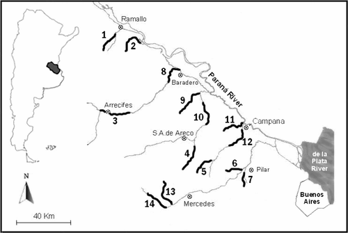 Figure 1. Study area in Argentina showing the location of 14 rivers and streams studied and the most important cities and rivers. Rivers 1–7 have a narrow alluvial valley: (1) Las Hermanas, (2) Los Cueros, (3) Arrecifes, (4) Giles, (5) El Sauce, (6) Las Flores, and (7) Carabassa; while rivers 8–14 have a broad alluvial valley: (8) Baradero, (9) Cañada Honda, (10) Areco, (11) Pesquerías, (12) Cruz, (13) Moyano, and (14) Los Leones.