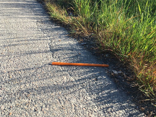 Figure 6 Observing disposable plastic straws that linger, 2018. Photo: Åsa Ståhl.