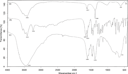 Figure 2. The FT-IR spectra of samples: (a) Mg–Al–NO3 LDH precursor; (b) olsalazine and (c) LDH–olsalazine.