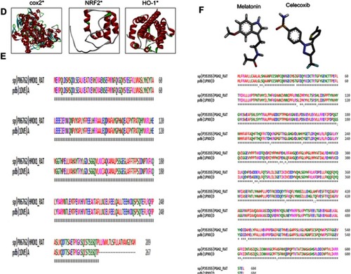 Figure 1 (Continued)