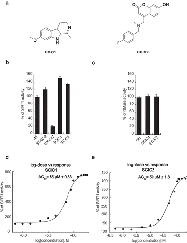 Figure 2. In vitro identification and characterization of SCIC1 and SCIC2. (a) Chemical structures. (b) SIRT1 assay for SCIC1 and SCIC2 at 10 μM. STAC2 and EX-527 (at 10 μM) were used as enzymatic controls. (c) NMase assay for SCIC and SCIC2. (d-e) Dose-response curve determining AC50 of SCIC1 (d) and SCIC2 (e). Values are mean ± SD; experiments were performed in triplicate.