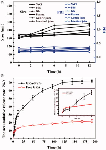 Figure 2. Stability and in vitro drug release profiles of GKA-NSps. (A) Size and PDI changes of the GKA-NSps after incubation with various physiological media at 37 °C for 12 h; (B) The in vitro drug release profiles of GKA-NSps and GKA coarse suspensions in pH 7.4 PBS containing 5% (w/v) BSA at 37 °C (mean ± SD, n = 3).