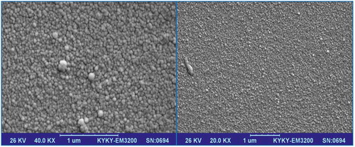 Figure 3. SEM images of AuNP–GCE provided by electrodeposition from a 0.1 M NaNO3 aqua solution with 0.25 mM HAuCl4·3H2O and 0.01 M H2SO4.
