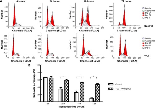 Figure 3 Troglitazone (TGZ) induces cell cycle arrest at the G0/1 phase in SiHa cells.