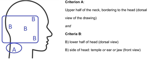 Figure 2 Standardized C2 pattern pain drawing key.