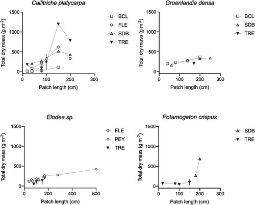 Figure 4. Total (aboveground and belowground) dry mass per unit surface area (g m−2) of vegetation patches of increasing length sampled at different sites. Error bars, when present, represent the SD among replicate patches in the same length category. Note the different x-axis range in Elodea sp. Dotted lines connect the data points for visualization.